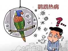 1人死亡 6例确诊！传染病专家张凤池讲解：如何预防鹦鹉热？